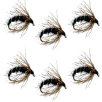 Black Holy Grail Caddis Pupa Emerger 6 Flies Hook Size 16