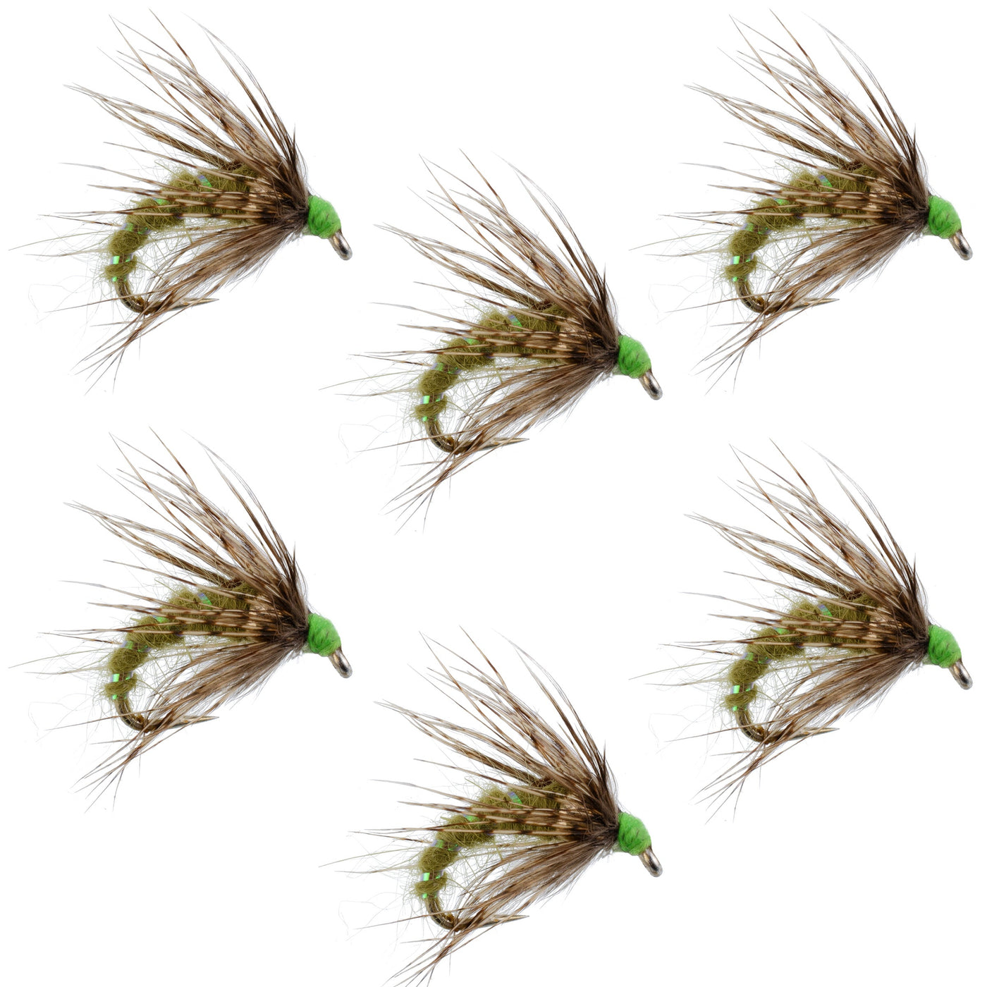 Olive Holy Grail Caddis Pupa Emerger 6 Flies Hook Size 16