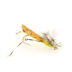 Basics Collection - Terrestrials Fly Assortment - 10 Flies - Sizes 10-14