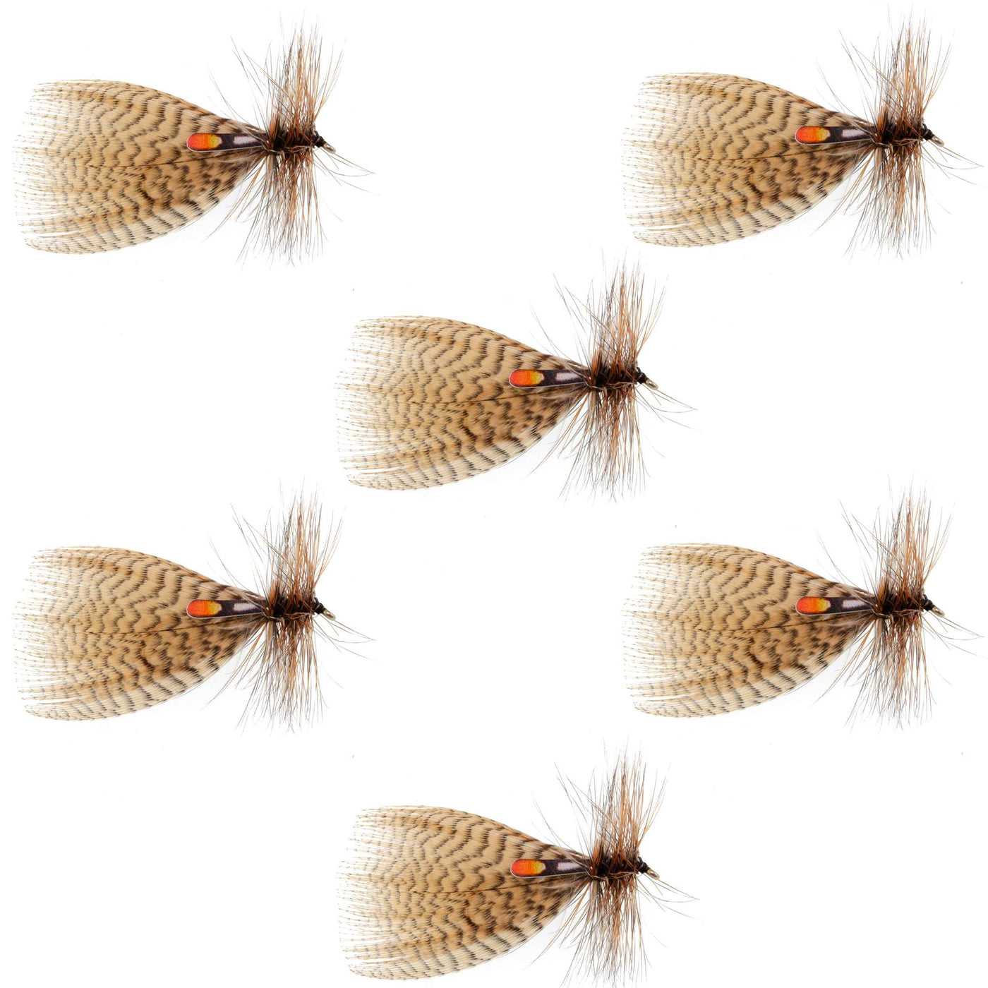 Hornberg Special Streamer or Dry Fly - 6 Flies - Hook Size 12