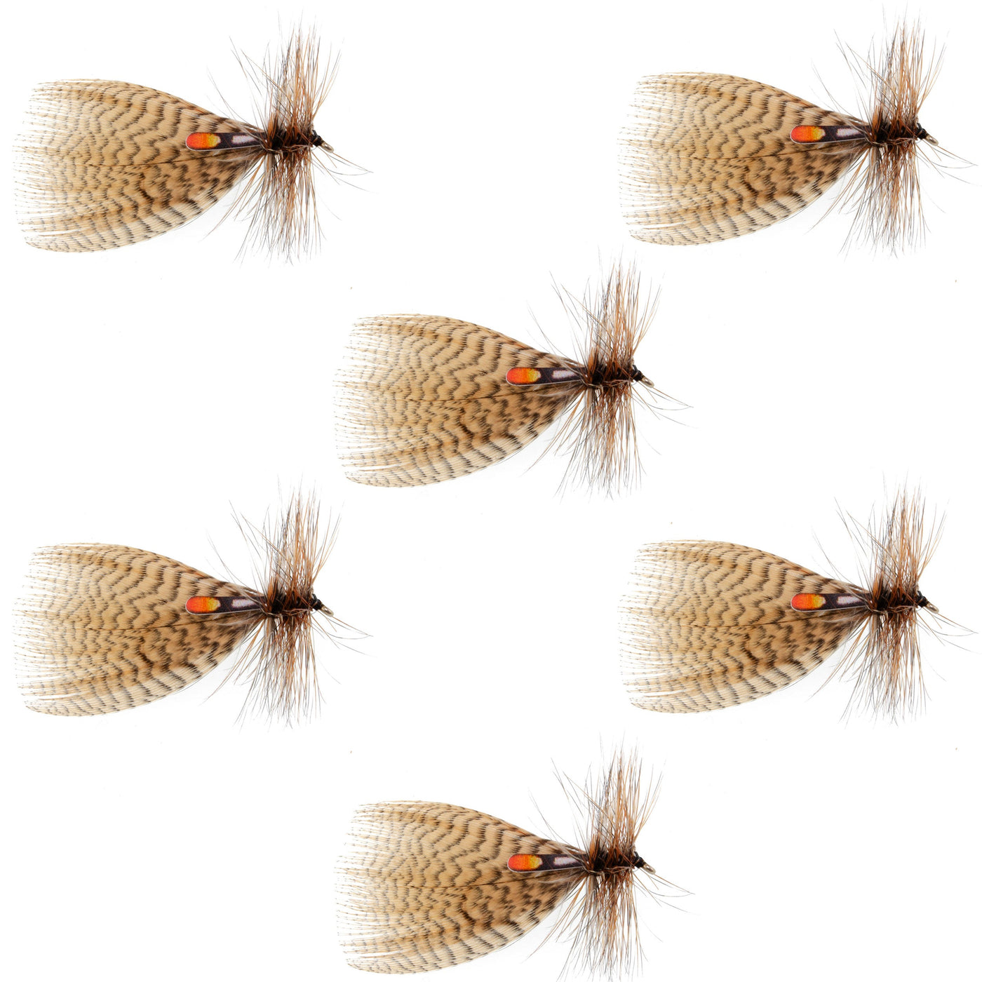 Hornberg Special Streamer or Dry Fly - 6 Flies - Hook Size 6