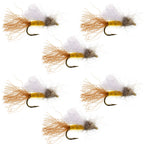 Amber Iris Caddis Emerger Caddis  Trout Dry Fly - 6 Flies Hook Size 16