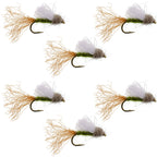Olive Iris Caddis Emerger Caddis  Trout Dry Fly - 6 Flies Hook Size 14