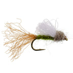 Olive Iris Caddis Emerger Caddis  Trout Dry Fly - 6 Flies Hook Size 14
