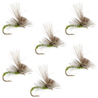 Green Drake Missing Link Mayfly Flies Hook 6 Flies Size 10