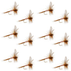 Pink Lady Classic Dry Fly - 12 Flies Size 14