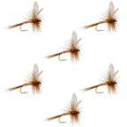 Pink Lady Classic Dry Fly - 6 Flies Size 14