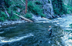 3 Pack Black Tungsten Bead Tactical Olive Hares Ear Czech Nymph Euro Nymphing Fly - Hook Size 18