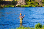 Barbless Pat's Rubber Legs Tungsten Bead Jigged Coffee/Tan Euro Nymph  - Set of 12 Flies Hook Size 10