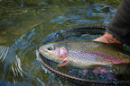 Barbless Bead Head Gold Ribbed Hare's Ear Nymph Flies