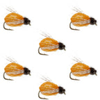 LaFontaine Amber Deep Sparkle Caddis Pupa - 6 Flies Hook Size 12