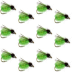 LaFontaine Bright Green Deep Sparkle Caddis Pupa - 1 Dozen Flies Hook Size 12