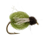 LaFontaine Olive Deep Sparkle Caddis Pupa - 1 Dozen Flies Hook Size 12
