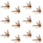 Queen Of The Waters Classic Dry Fly - 12 Flies Size 14