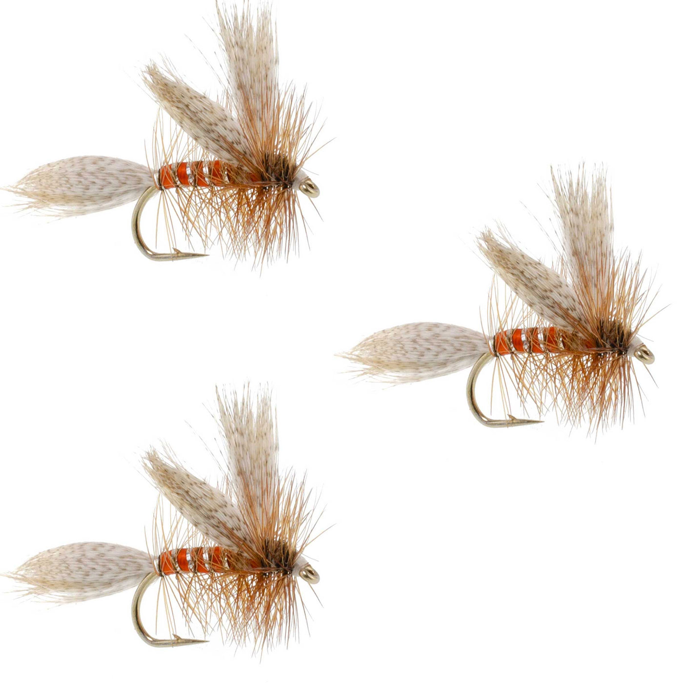 3 Pack Queen Of The Waters Classic Dry Fly - Size 12