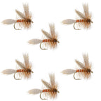 Queen Of The Waters Classic Dry Fly - 6 Flies Size 14