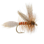 Queen Of The Waters Classic Dry Fly - 6 Flies Size 14