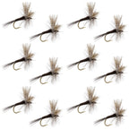 Quill Gordon Classic Dry Fly - 12 Flies Size 18
