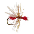 Red Fur Flying Ant