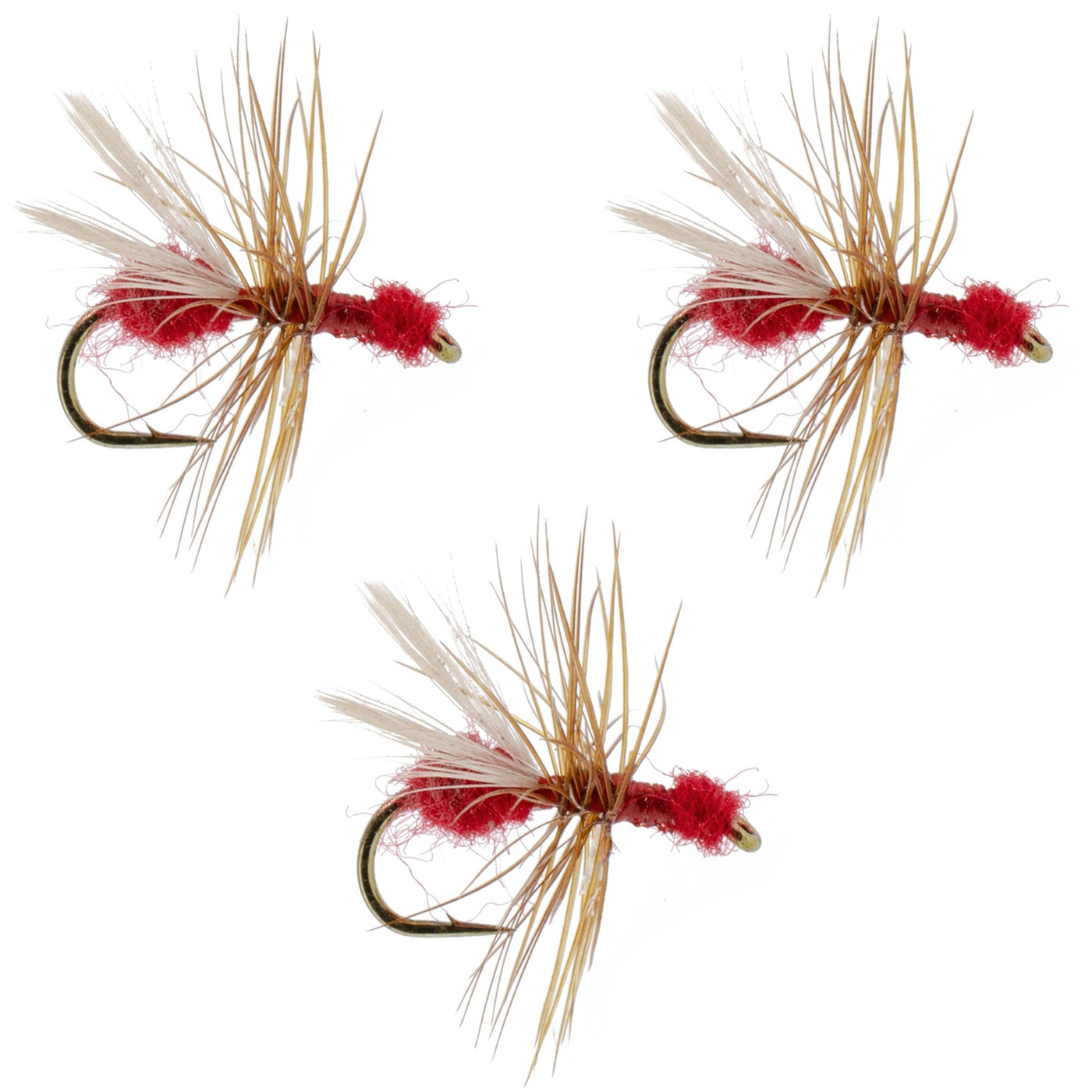 Red Fur Flying Ant
