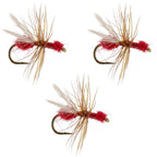 Red Fur Flying Ant