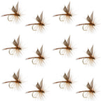 Red Quill Classic Dry Fly - 12 Flies Size 12