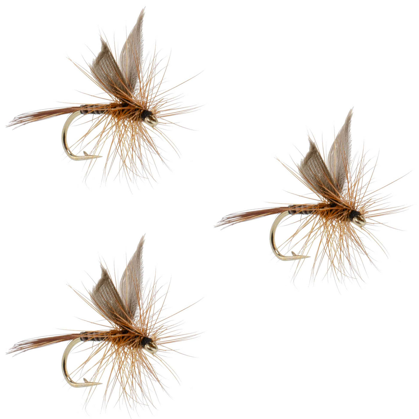 3 Pack Red Quill Classic Dry Fly - Size 16