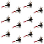 Red-Tailed Black Gnat Classic Dry Fly - 12 Flies Size 16