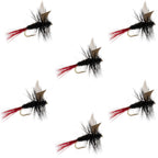 Red-Tailed Black Gnat Classic Dry Fly - 6 Flies Size 18