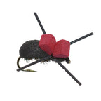 Red Top Black Foam Beetle