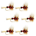 Barbless Royal Wulff Classic Hair Wing Dry Fly - 6 Flies Hook Size 12