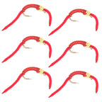 San Juan Worm Gold Bead Power Worm Red V Rib Set of 6 Nymph Flies