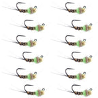 Tungsten Hot Spot Pheasant Tail Tactical Jig Euro Fly - 12 Flies Size 14