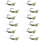 Tungsten Hot Spot Pheasant Tail Tactical Jig Euro Fly - 12 Flies Size 18