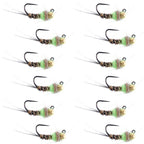 Tungsten Hot Spot Pheasant Tail Tactical Jig Euro Fly