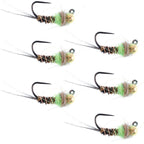 Tungsten Soft Hackle Pheasant Tail Tactical Euro Jig - 6 Flies Size 12
