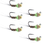 Tungsten Hot Spot Pheasant Tail Tactical Nymph Euro Jig - 6 Flies Size 16