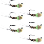 Tungsten Soft Hackle Pheasant Tail Tactical Euro Jig - 6 Flies Size 14