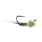 Tungsten Soft Hackle Pheasant Tail Tactical Euro Jig - 6 Flies Size 12