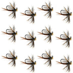 Tungsten Soft Hackle Pheasant Tail Tactical Euro Jig - 12 Flies Size 16