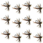 Tungsten Soft Hackle Pheasant Tail Tactical Euro Jig - 12 Flies Size 14