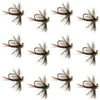 Tungsten Soft Hackle Pheasant Tail Tactical Euro Jig - 12 Flies Size 12