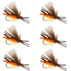 West Fork Salmonfly Stone - Stonefly Dry Fly - 6 Flies Hook Size 6