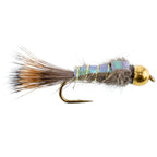 Basics Collection - Copper John - Flash Back Nymph Kit - 10 Flies #10-16