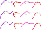 Trout Fly Assortment - San Juan Worm Power Bead Wet Nymph Fly Fishing Flies -  1 Dozen Hook Size 10 - 3 Each of 4 Patterns