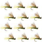 Olive X Caddis Emerging Caddis Adult Trout Dry Fly - 1 Dozen Flies Hook Size 14