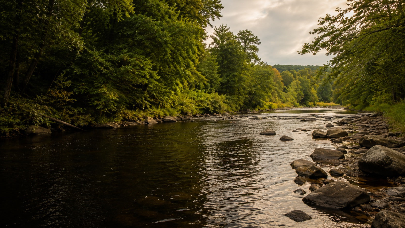 Reading a Tailwater