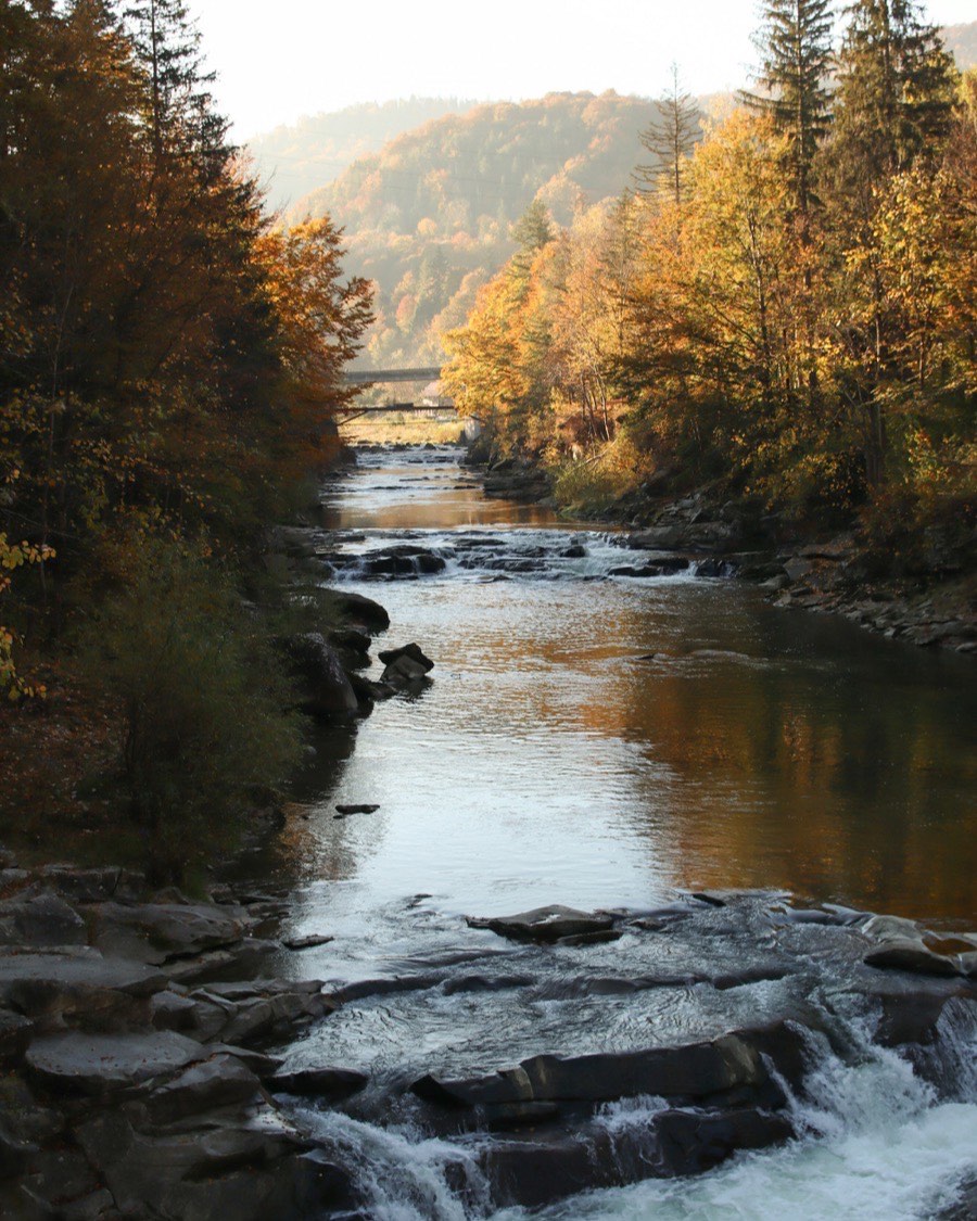 The Farmington